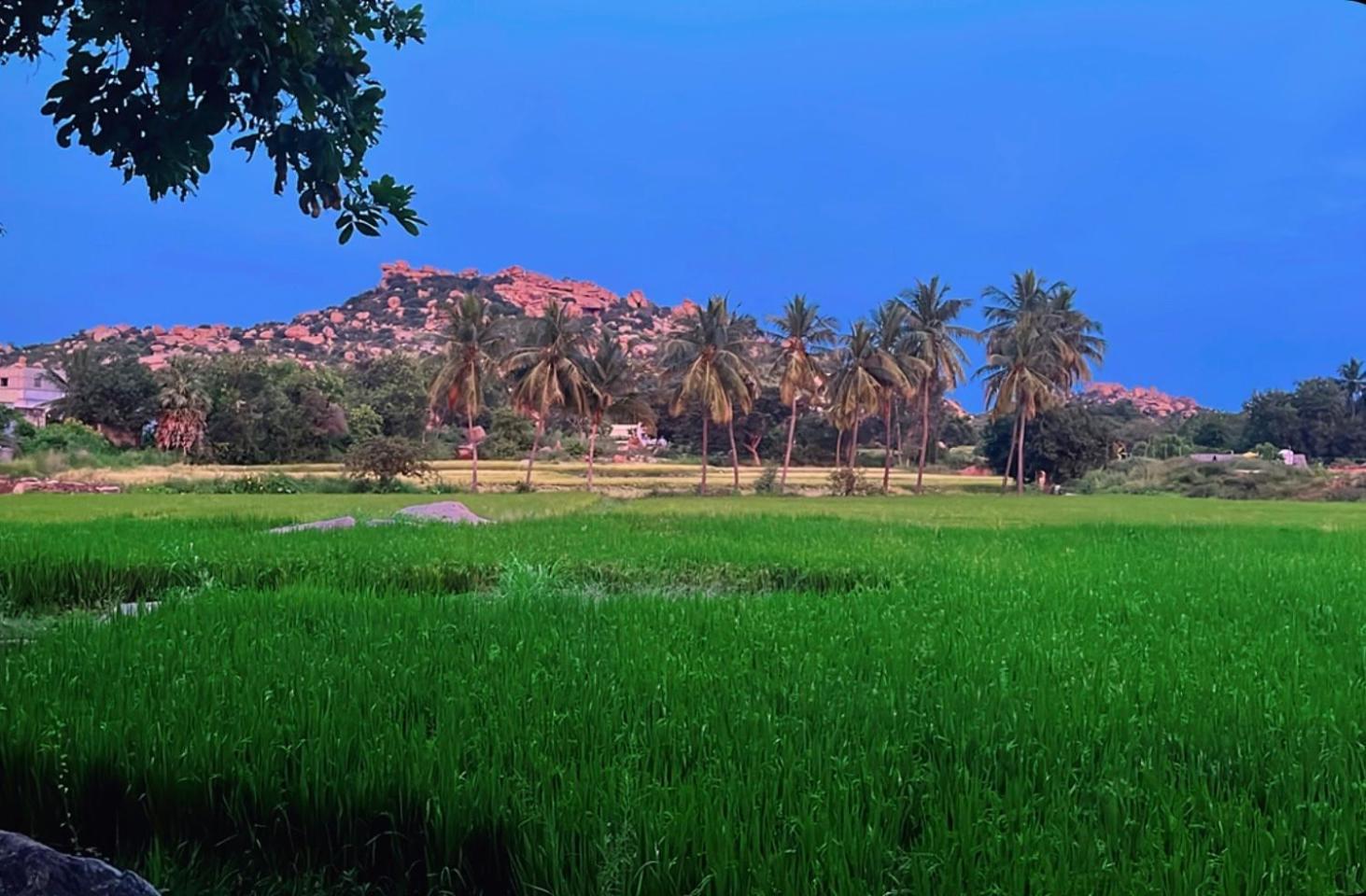 Sunrise Guest House & Restaurant Hampi Exteriér fotografie